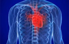 КТ сердца как профилактика заболеваний. Эффективность обследования